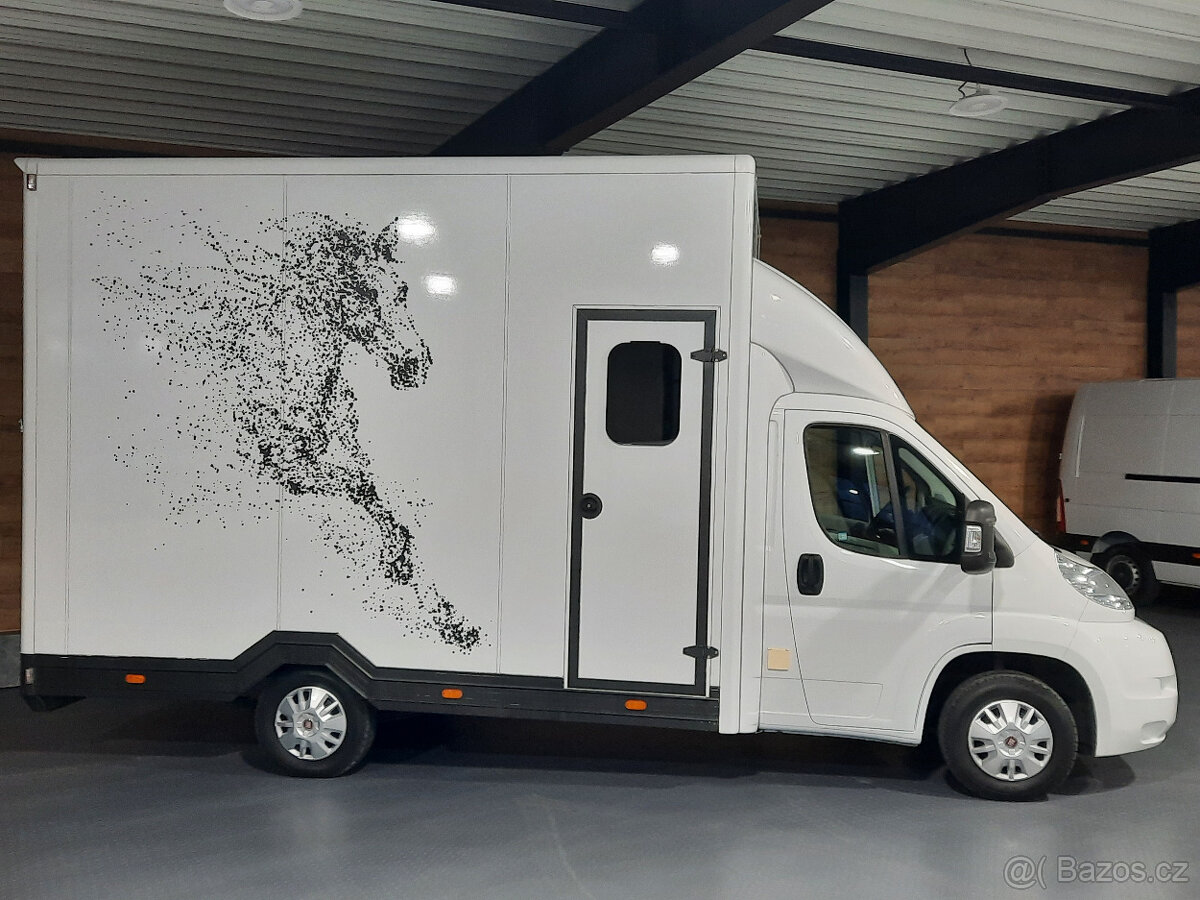 Fiat Ducato - prepravník koní, prepravník na kone - 7