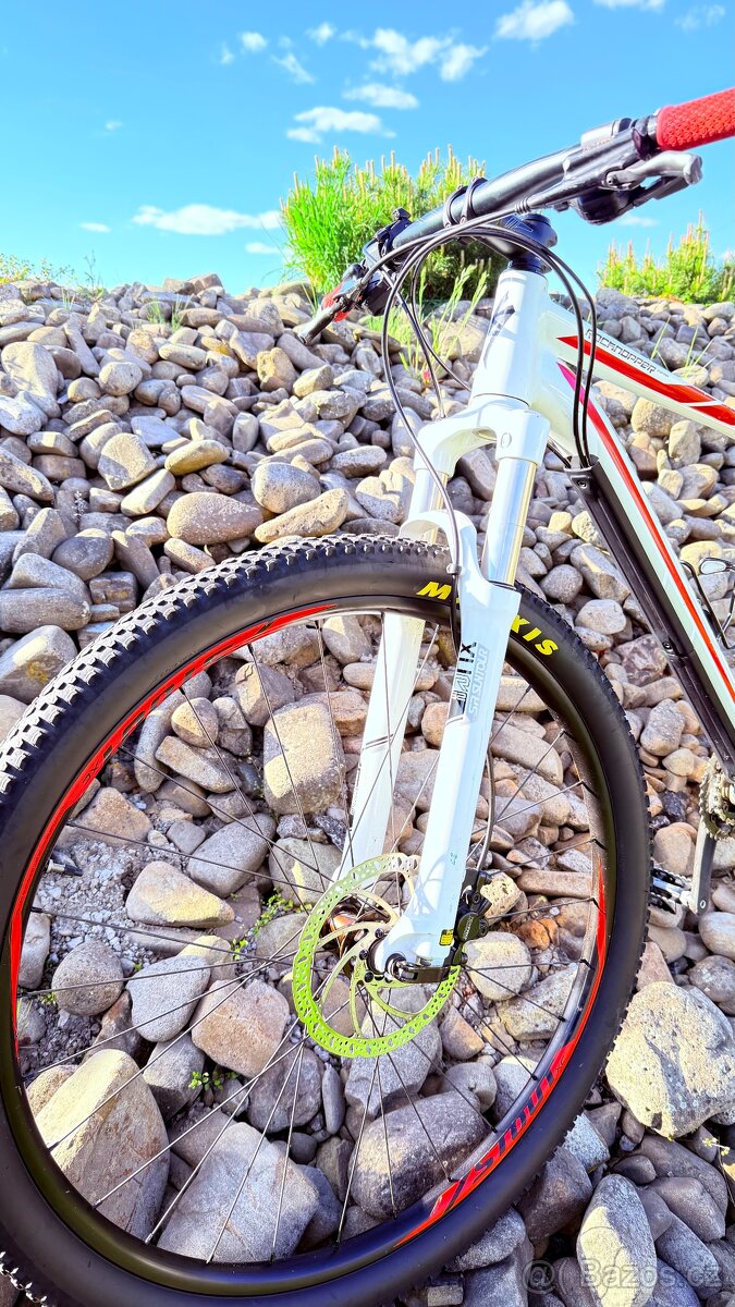 Specialized Rockhopper 29 - 7
