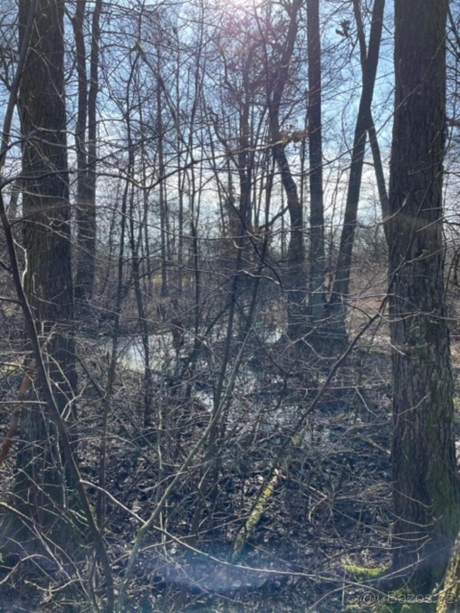 Prodám pozemky v k.ú. Starý Ples - 7