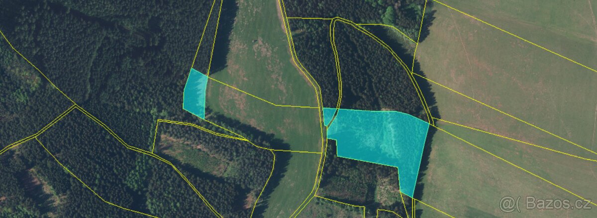 Prodej lesa 20336 m² – Heřmánkovice - 7