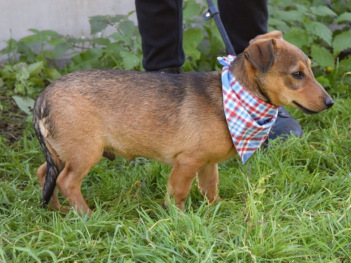 Jeremy hledá domov - 7