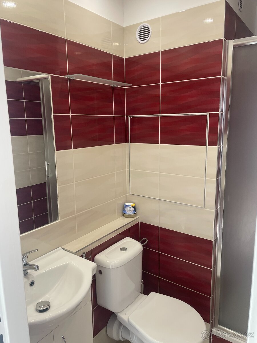 Pronajmu byt 2kk 37m2 - 7