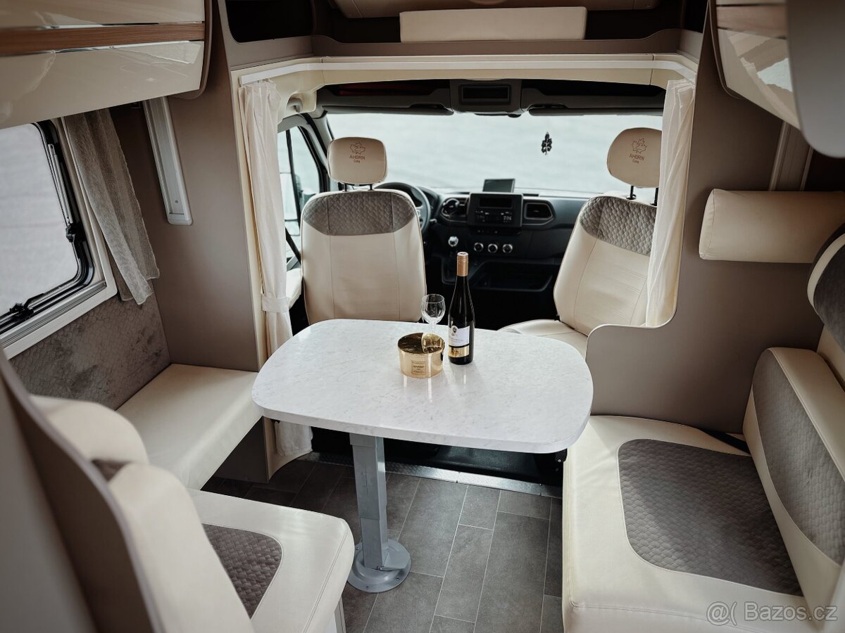 Ahorn Canada Tu- plus - 7