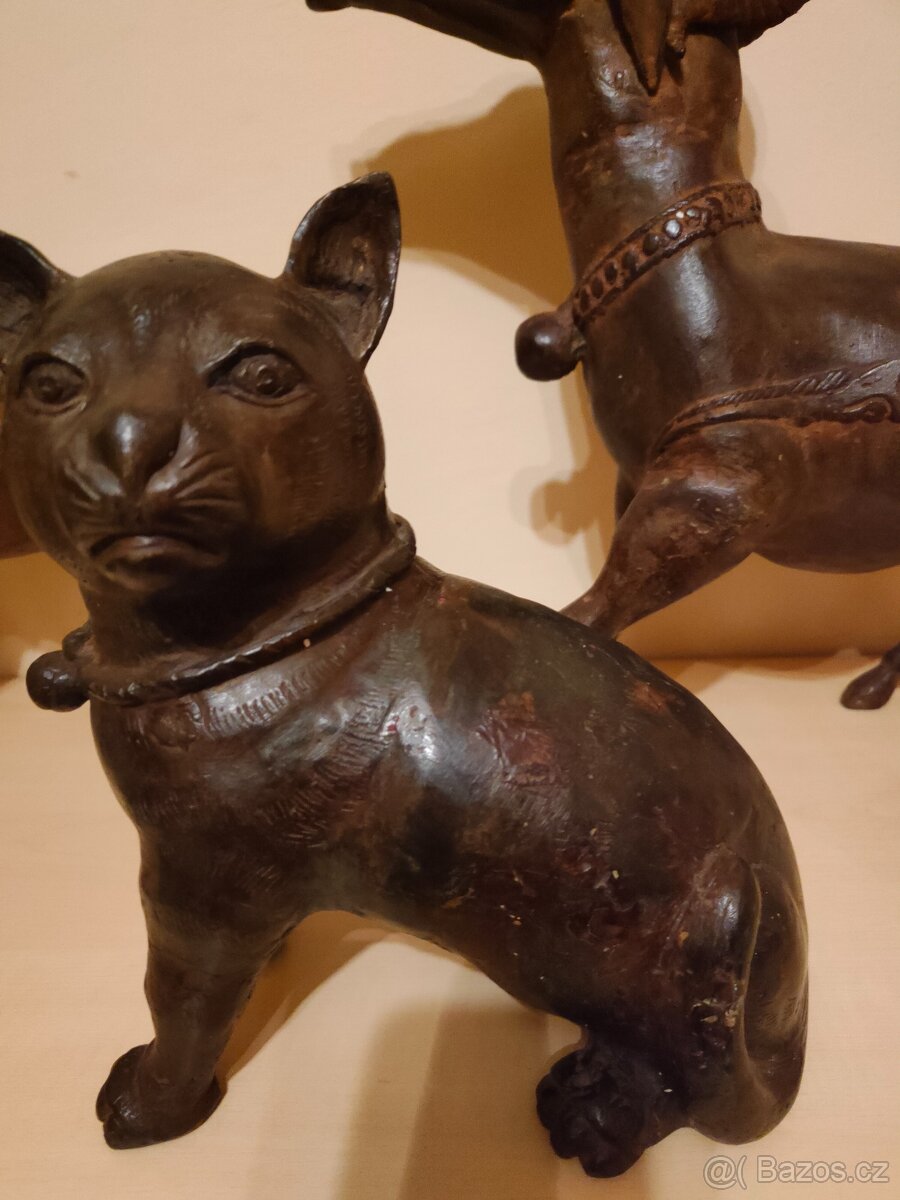 Ázijské zvieratá - 7