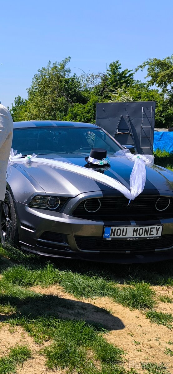 Nevěsta a ženich - ozdoba/dekorace na auto - 7