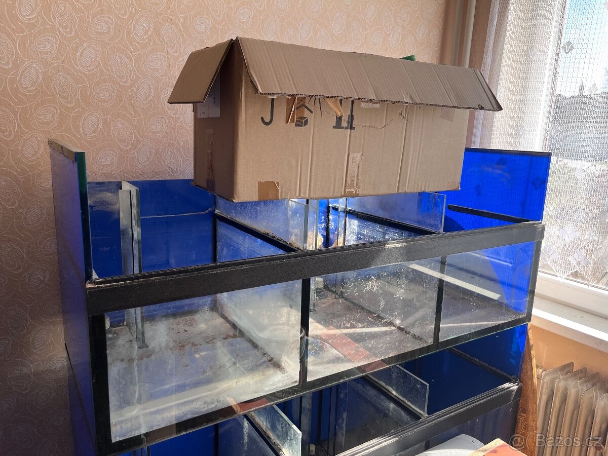Prodám Akvárium - 7