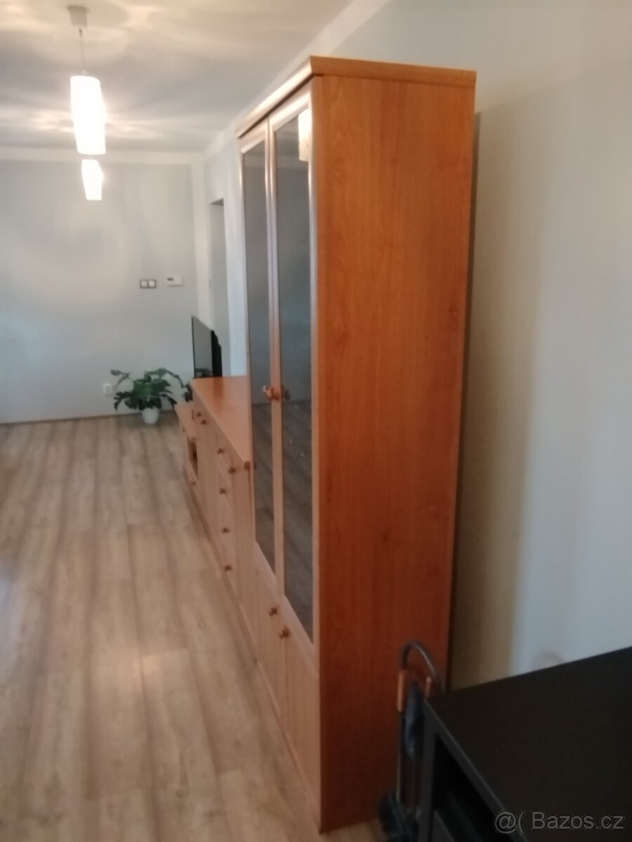 obývací stěna - 7