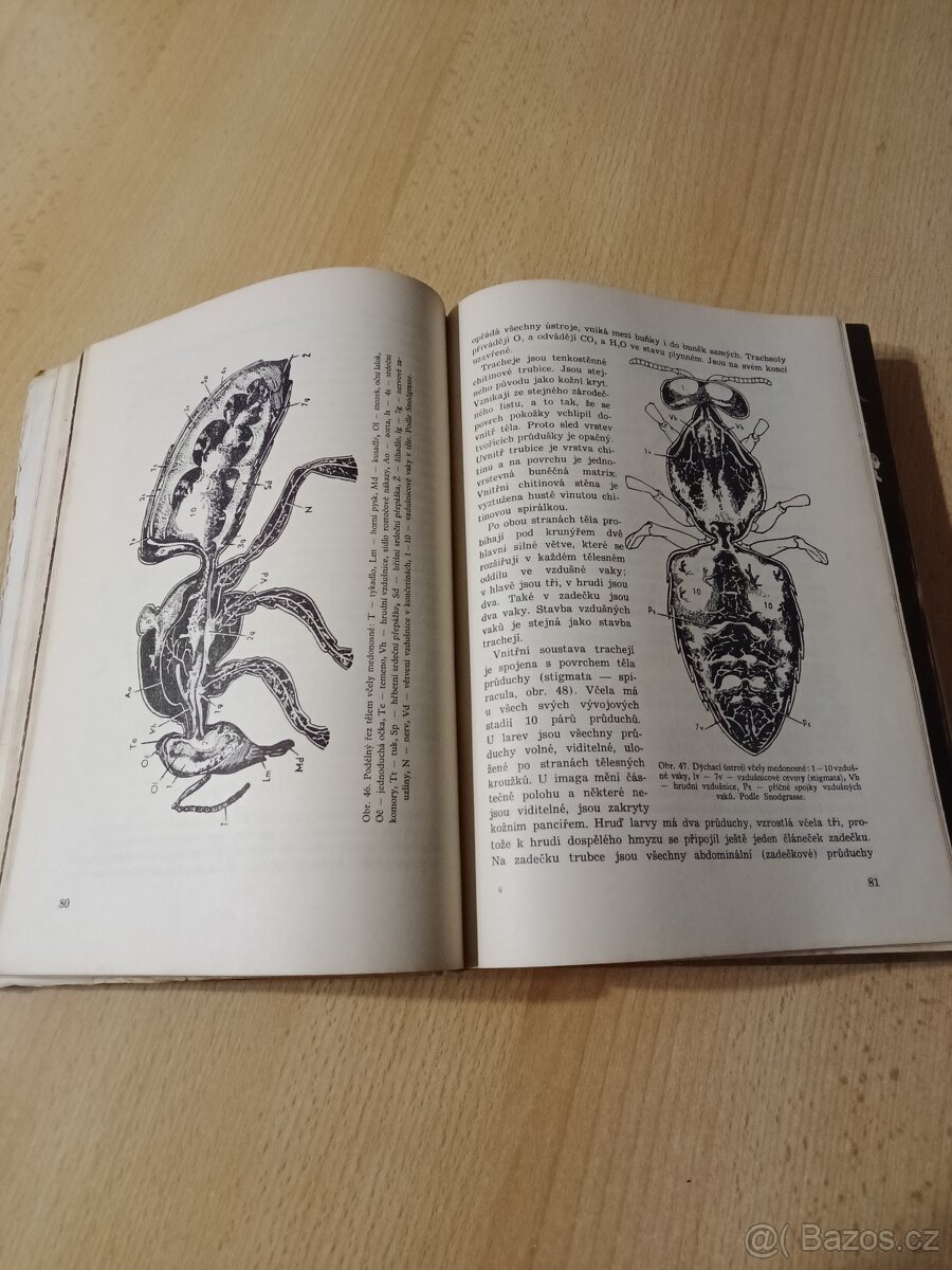 Včelařství,Pes a jeho výcvik, Domácí chov zvířat - 7