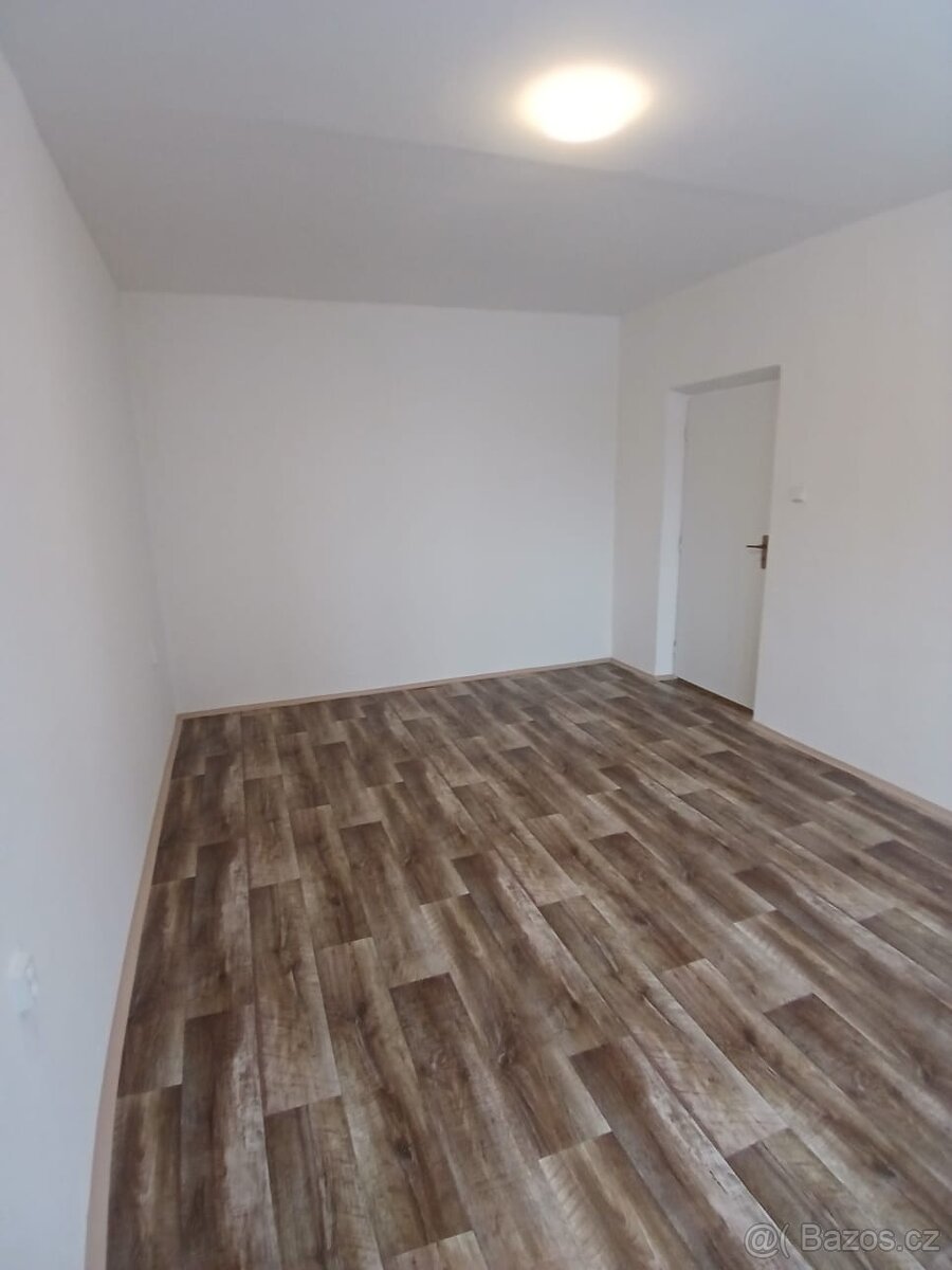 Pronájem 2+1 - 7