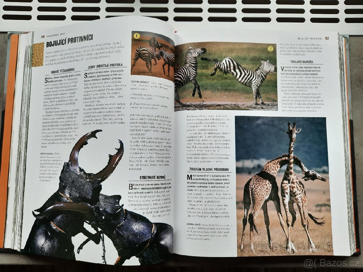 Prodám knihu 1000 DIVŮ PŘÍRODY. - 7