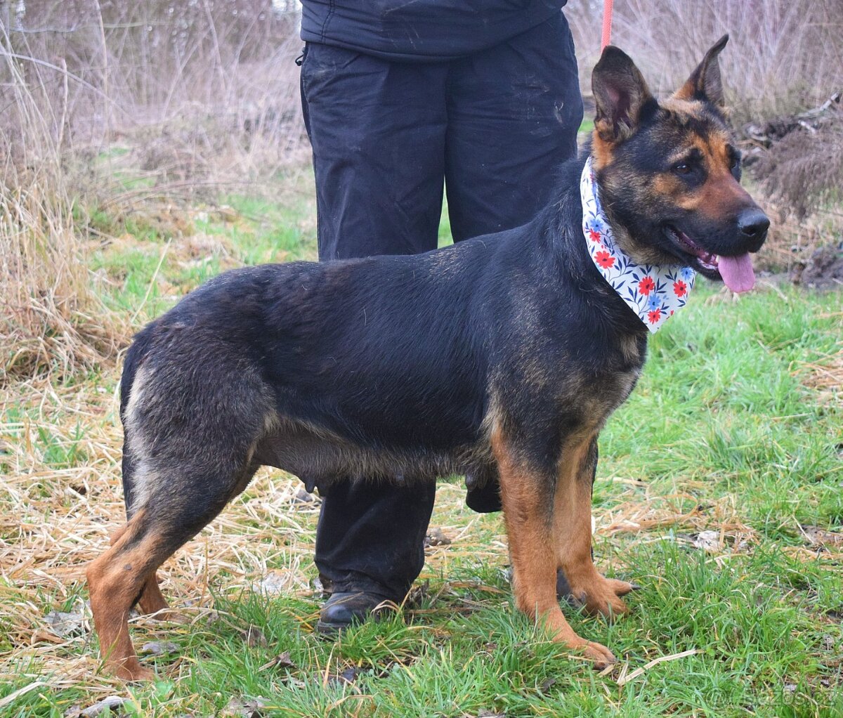 Frederika – hledá milující domov - 7