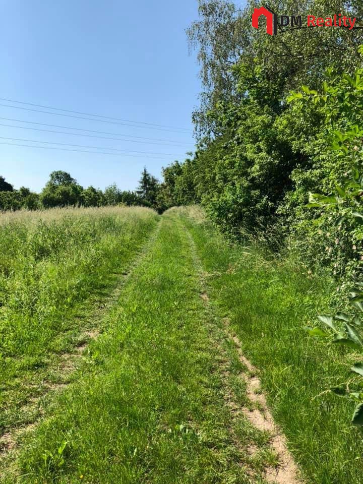 Prodej zahrady 5231 m2, Dalovice - 7