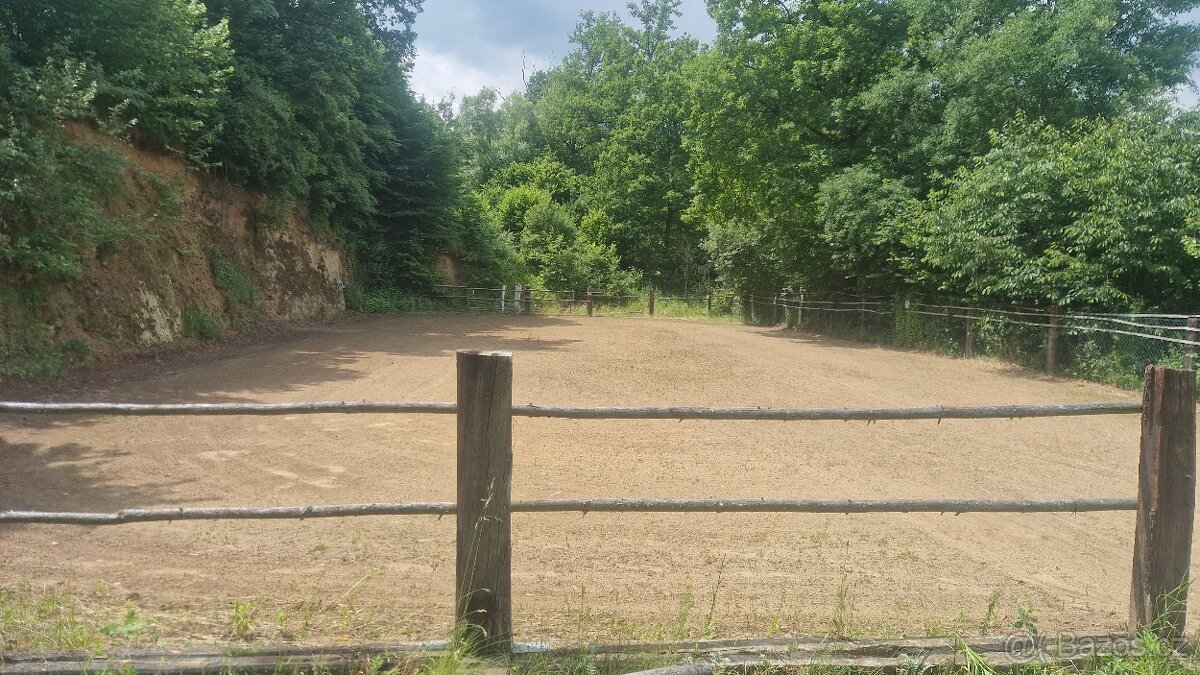 Nabízím ustájení - 7