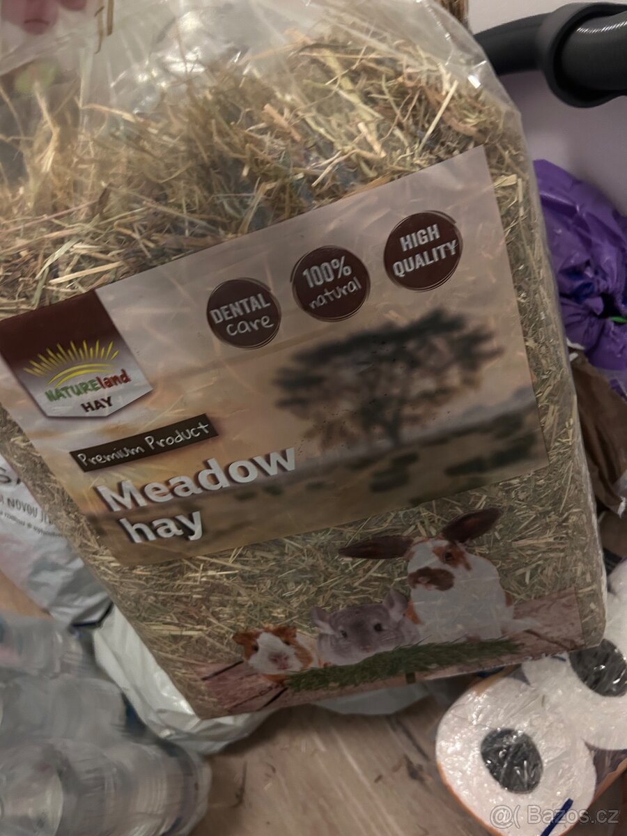 Morčata – kluci - 7