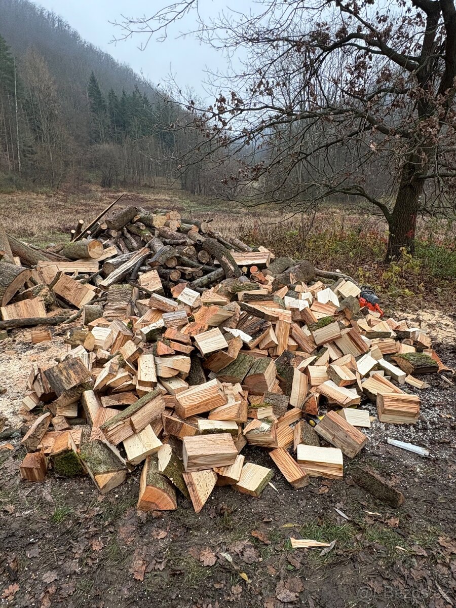 Palivové Dřevo Jasan - 7