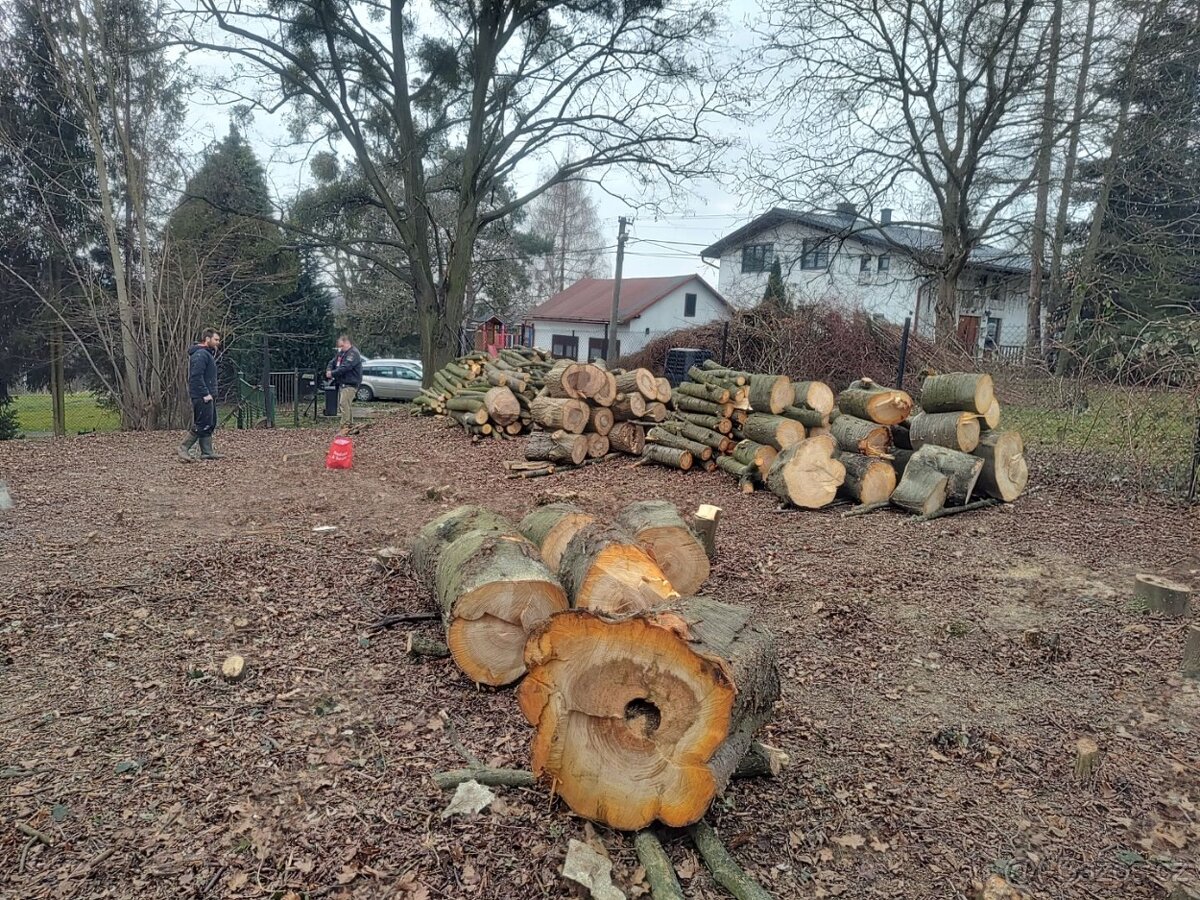 Třešeň - dřevo na uzení - 7