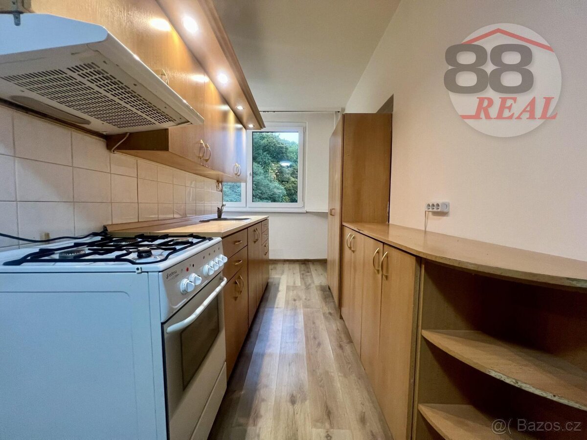 pronajem (podnájem) bytu 3+1, ulice na vyhlidce - 7