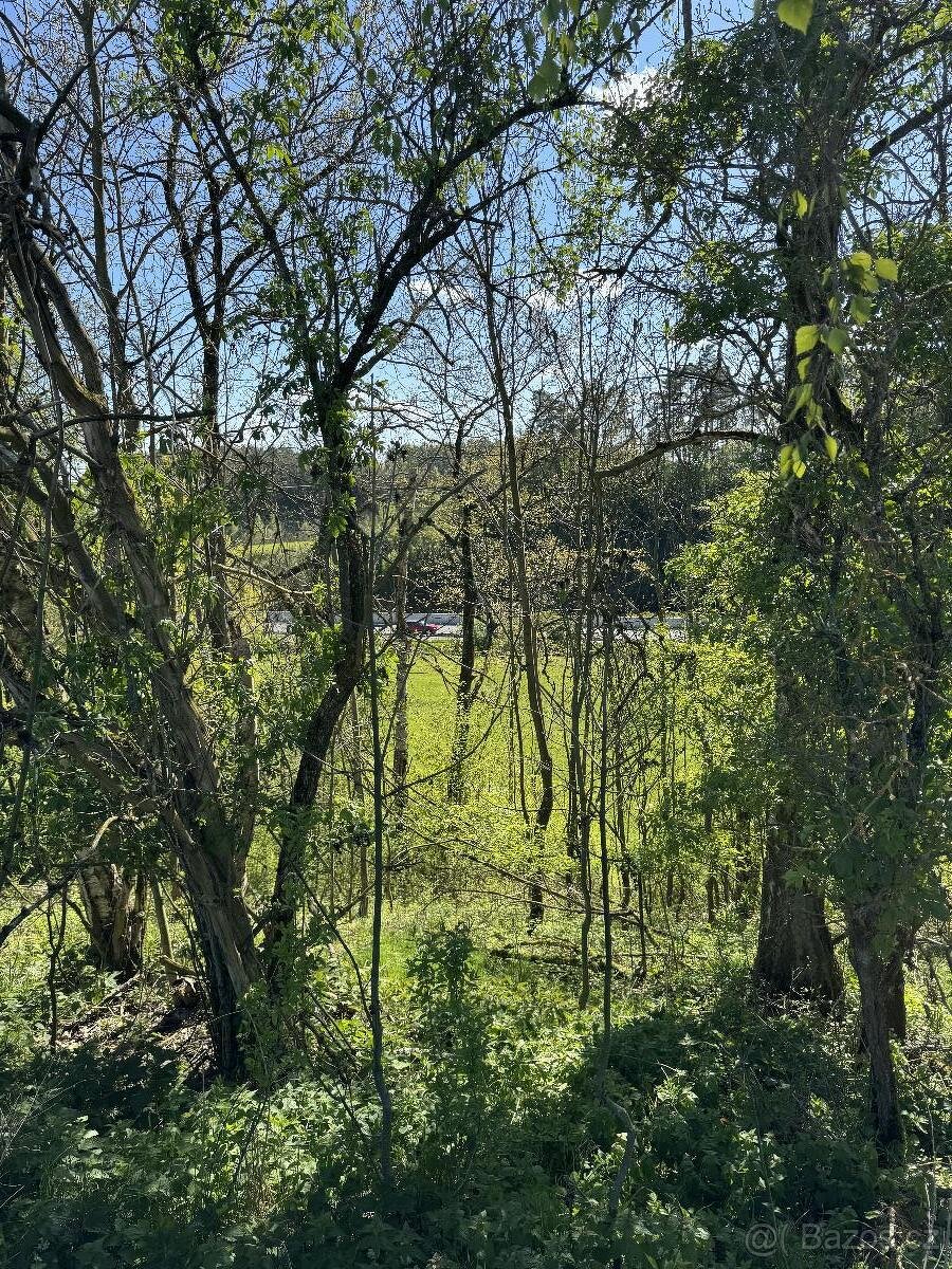 Prodám lesní pozemky v k.ú. Žďárek u Sychrova - 7