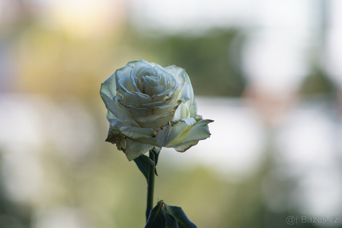 objektiv SMC Pentax-M 200mm f/4 - 7