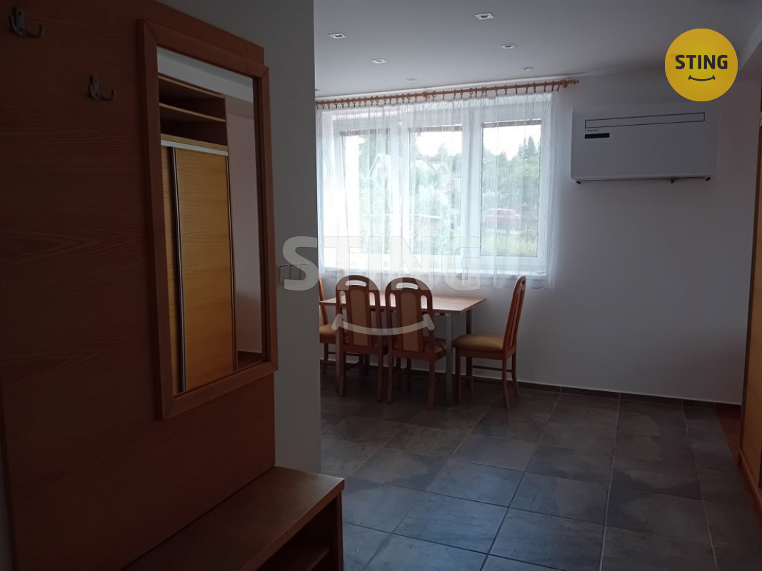 Pronájem bytu 1+1 ve Svratce, 134584 - 7