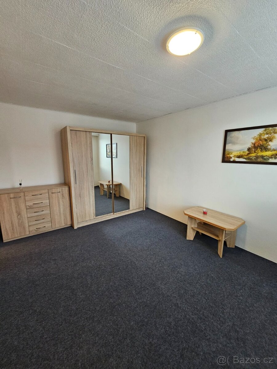 Prodám byt 1+1 v Hodoníně - 7