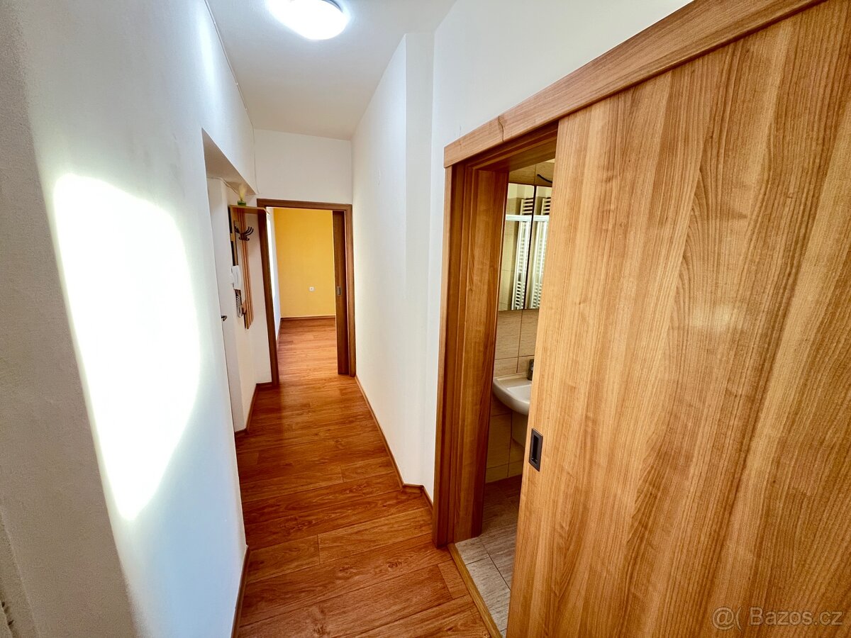 Pronájem bytu Bzenec-Kolonie - 7