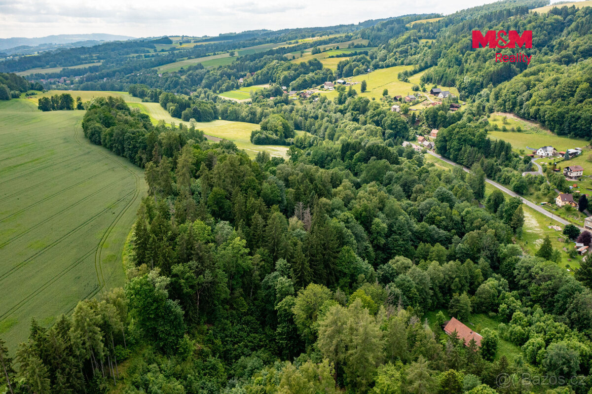Prodej lesa, 36610 m², Peřimov - 7