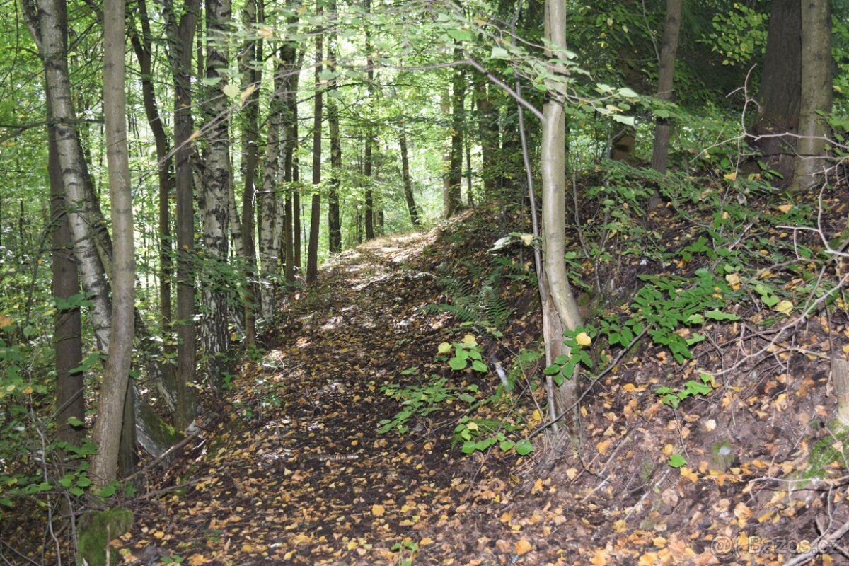 Prodej pozemku v Suchovršicích u Úpice - 7