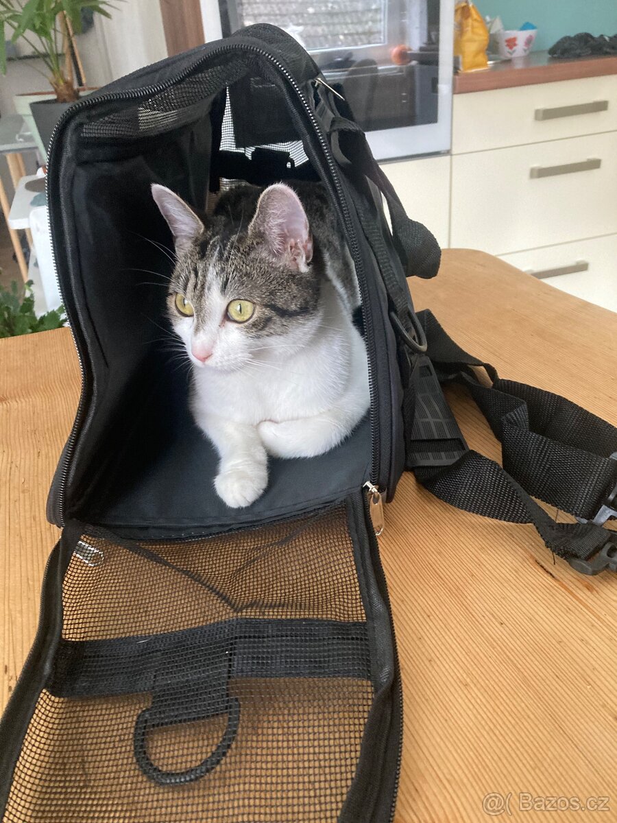 Přepravní taška - nová - 7