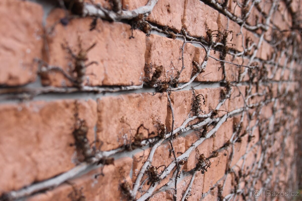 Cihlovy obklad pásek-forma na beton - 7