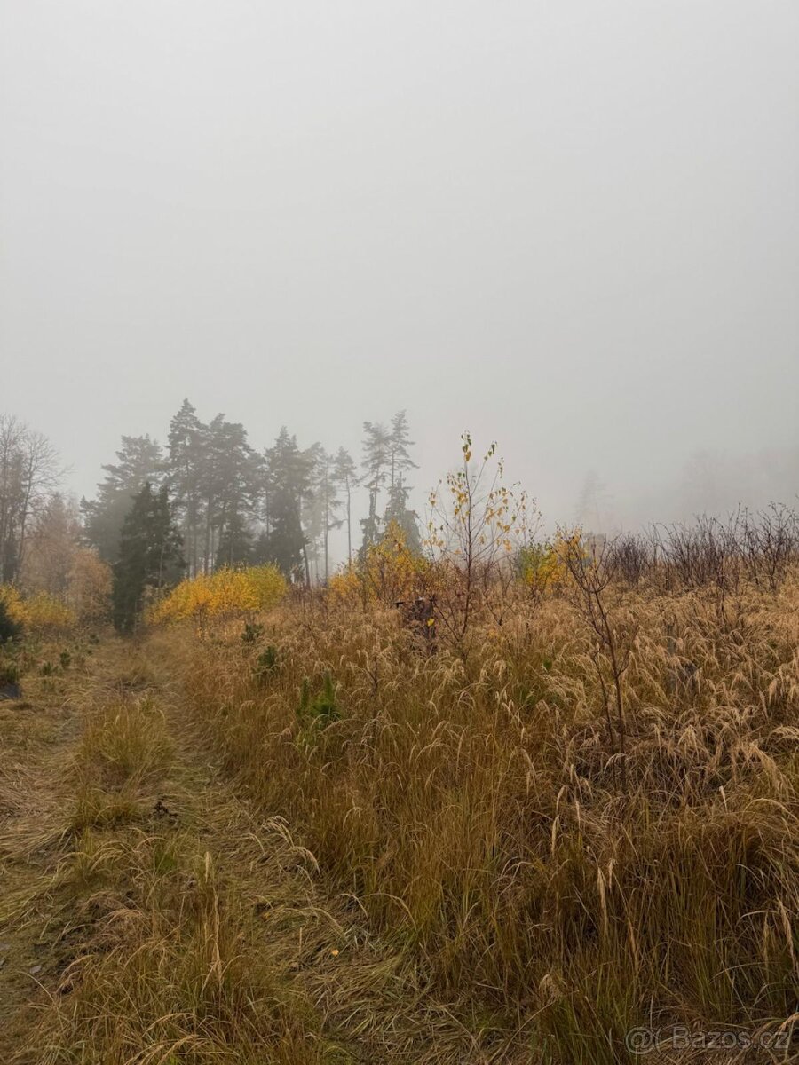 Prodej lesních pozemků k.ú. Úboč - 7