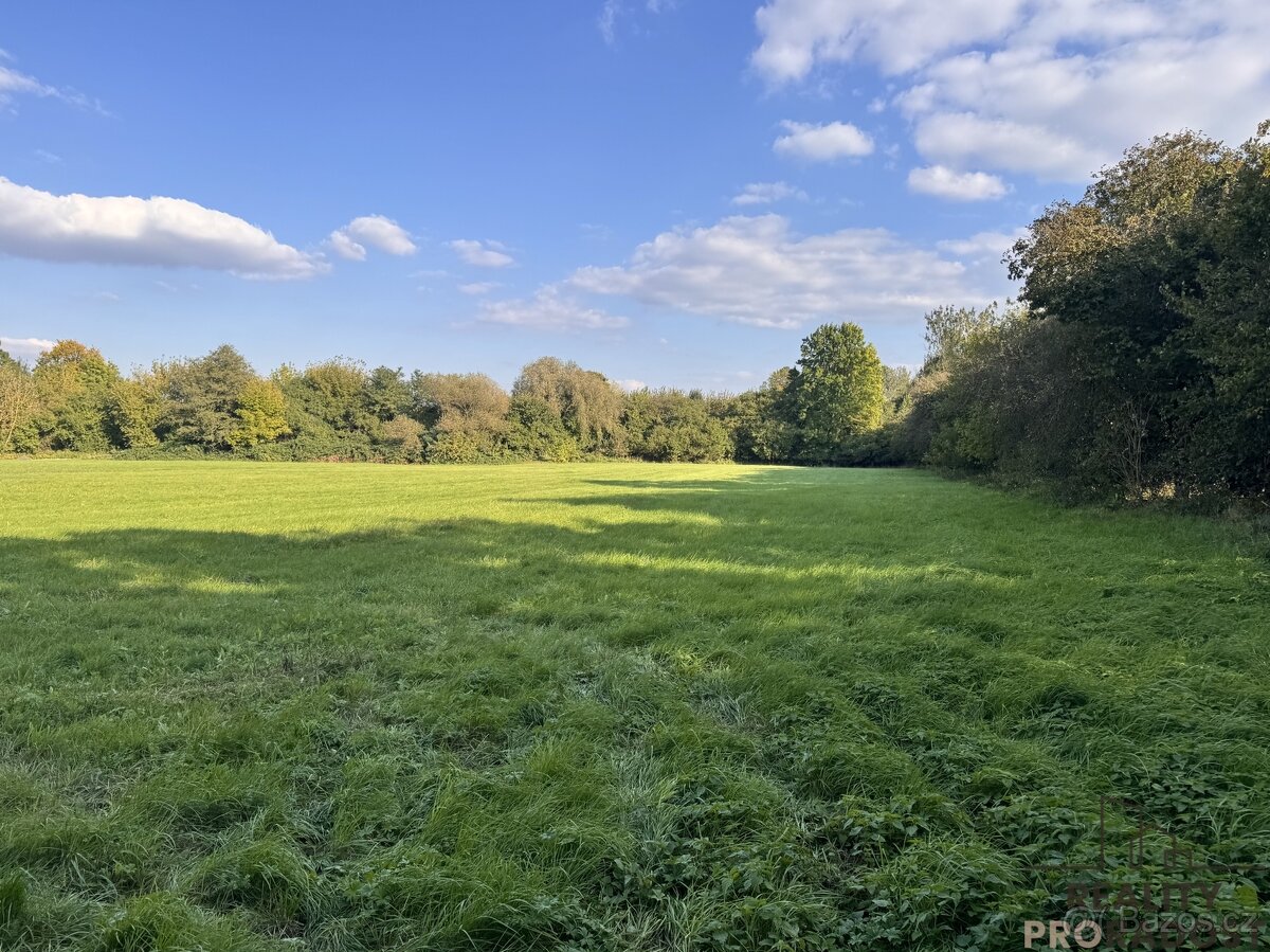 Prodej louky v k.ú. Rohatec u řeky Moravy - 7