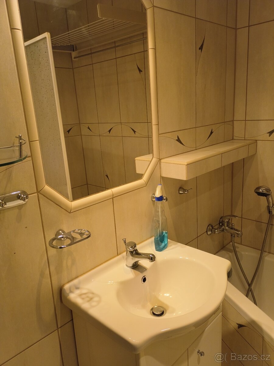 Pronájem bytu 3+1 Orlová Lutyně u Vesny - 7