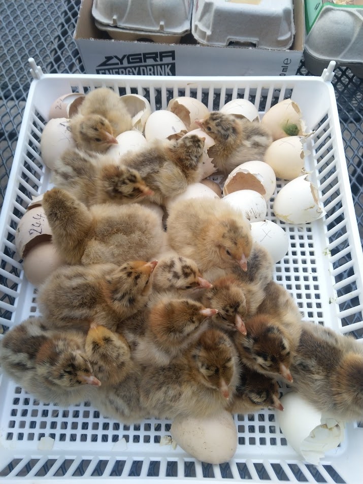 VONÉ MÍSTO V LÍHNI - 7