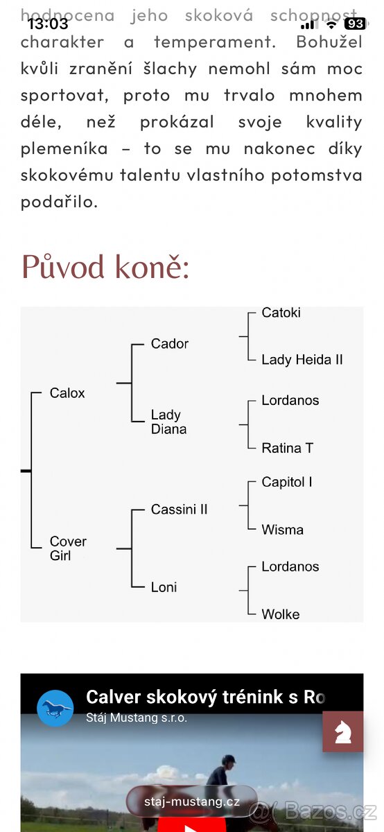 Letošní kobylka - 7
