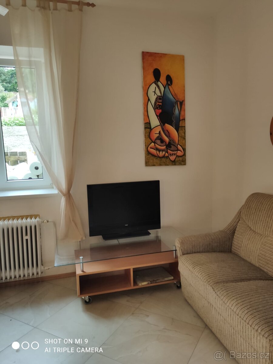 Pronájmu 2+KK v Karlovych Varech - 7