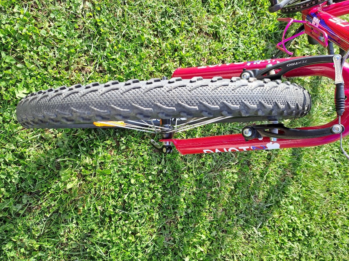 Superior Paint 20"- PĚKNÉ - 7