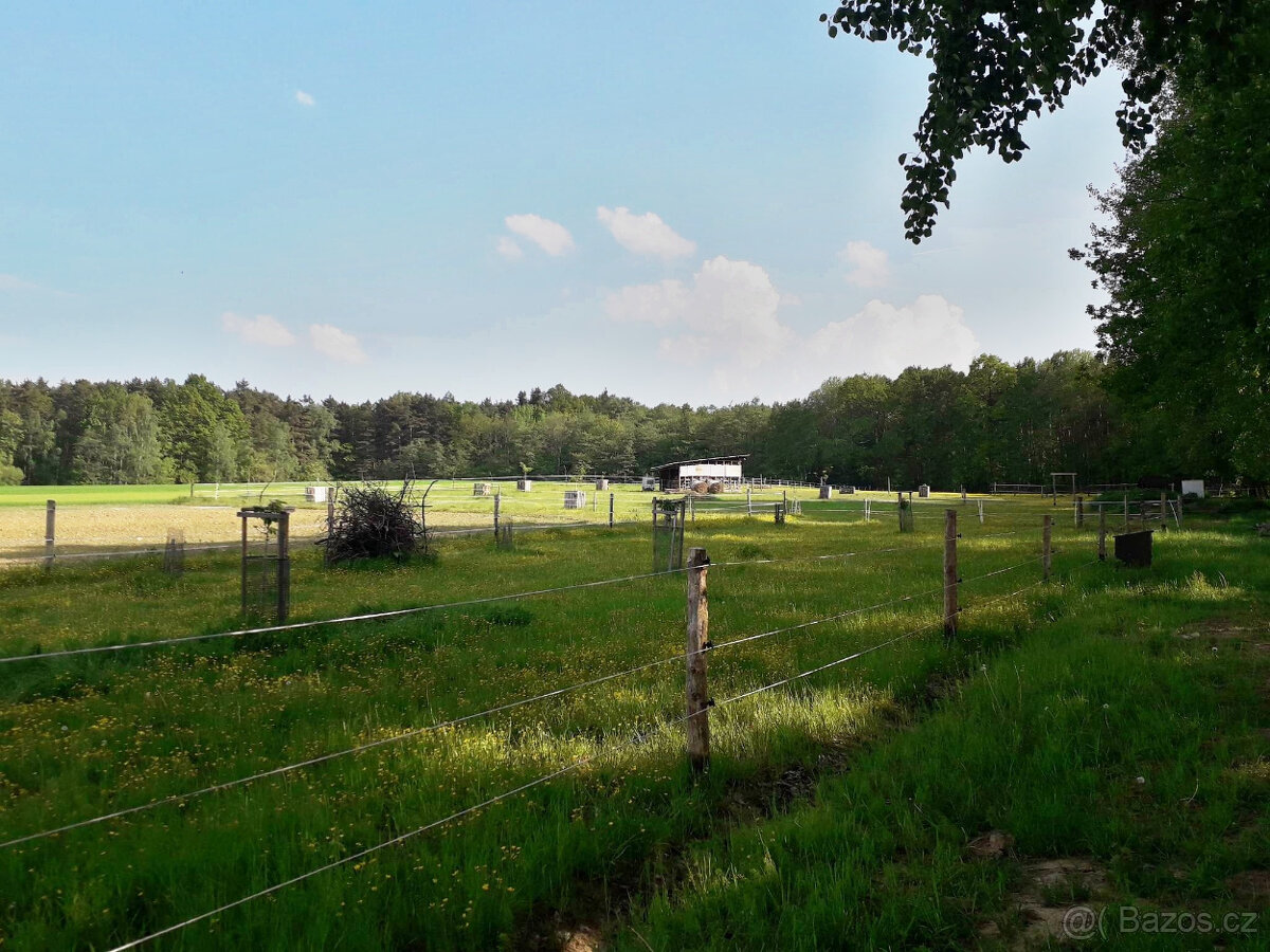 Pastevní ustájení České Budějovice - 7
