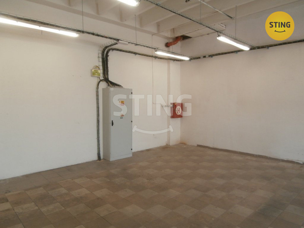 Pronájem výrobně- skladovacího prostoru., 123732 - 7