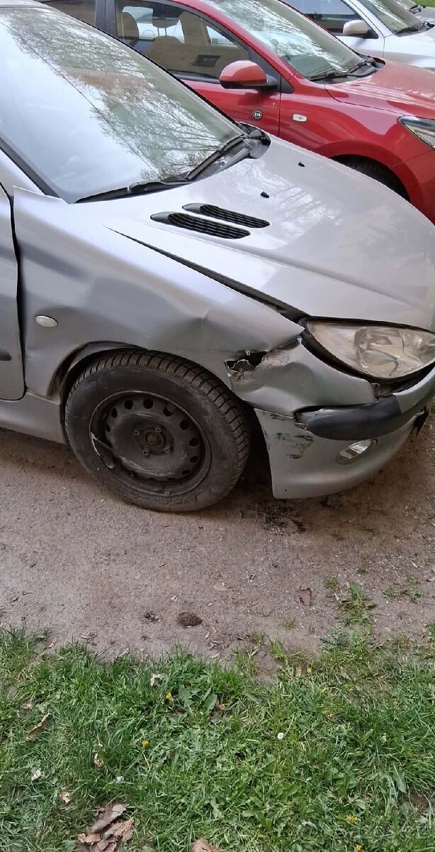 Peugeot combi 206 - 7