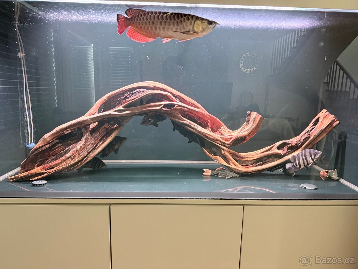 Kořen do akvária - 7