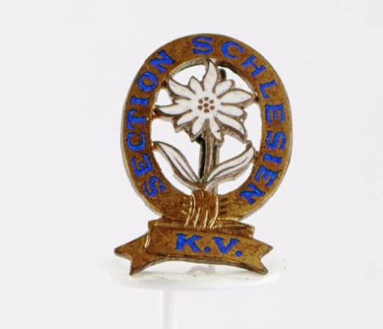 koupím - odznak - 7