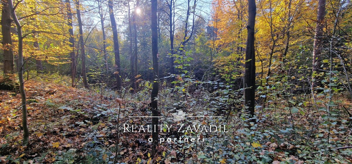 Prodej lesa 27 814 m², Morávka, ev.č. 00984 - 7