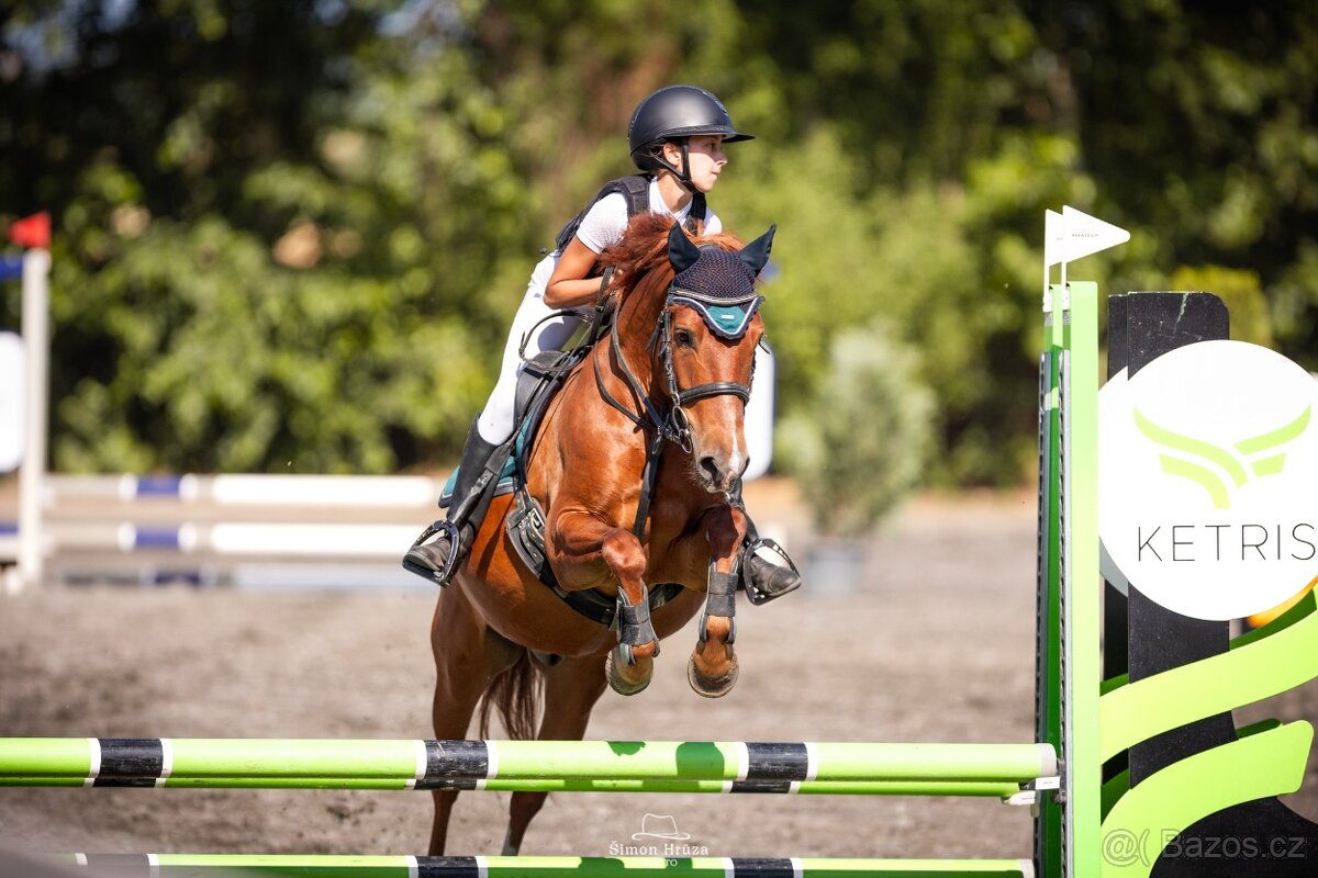 Pony do sportu ,valach 135cm - 7