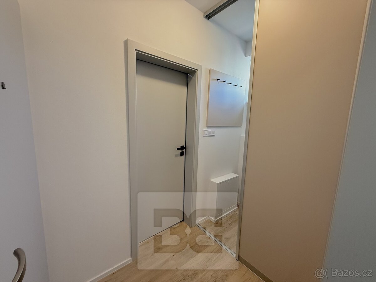 Pronájem bytu 1+kk 27 m², České Budějovice 6, ev.č. N08663 - 7
