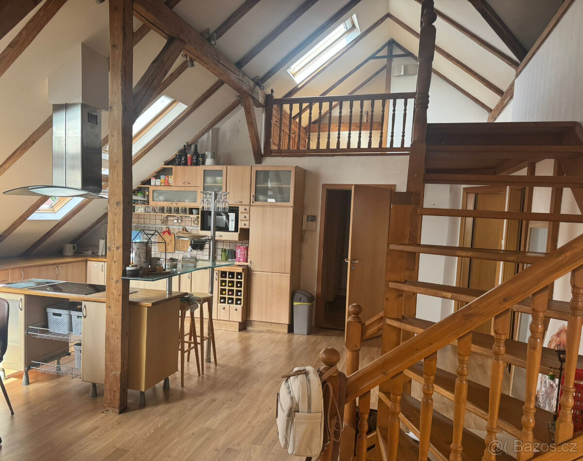 ----- ČIŽOVNÍ DŮM V BÍLINĚ ----- - 7