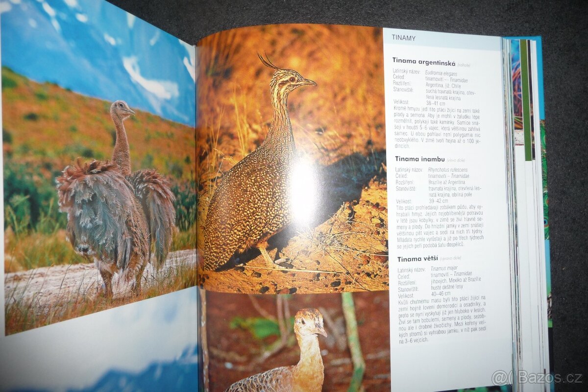 kniha 1000 ptáků - 7