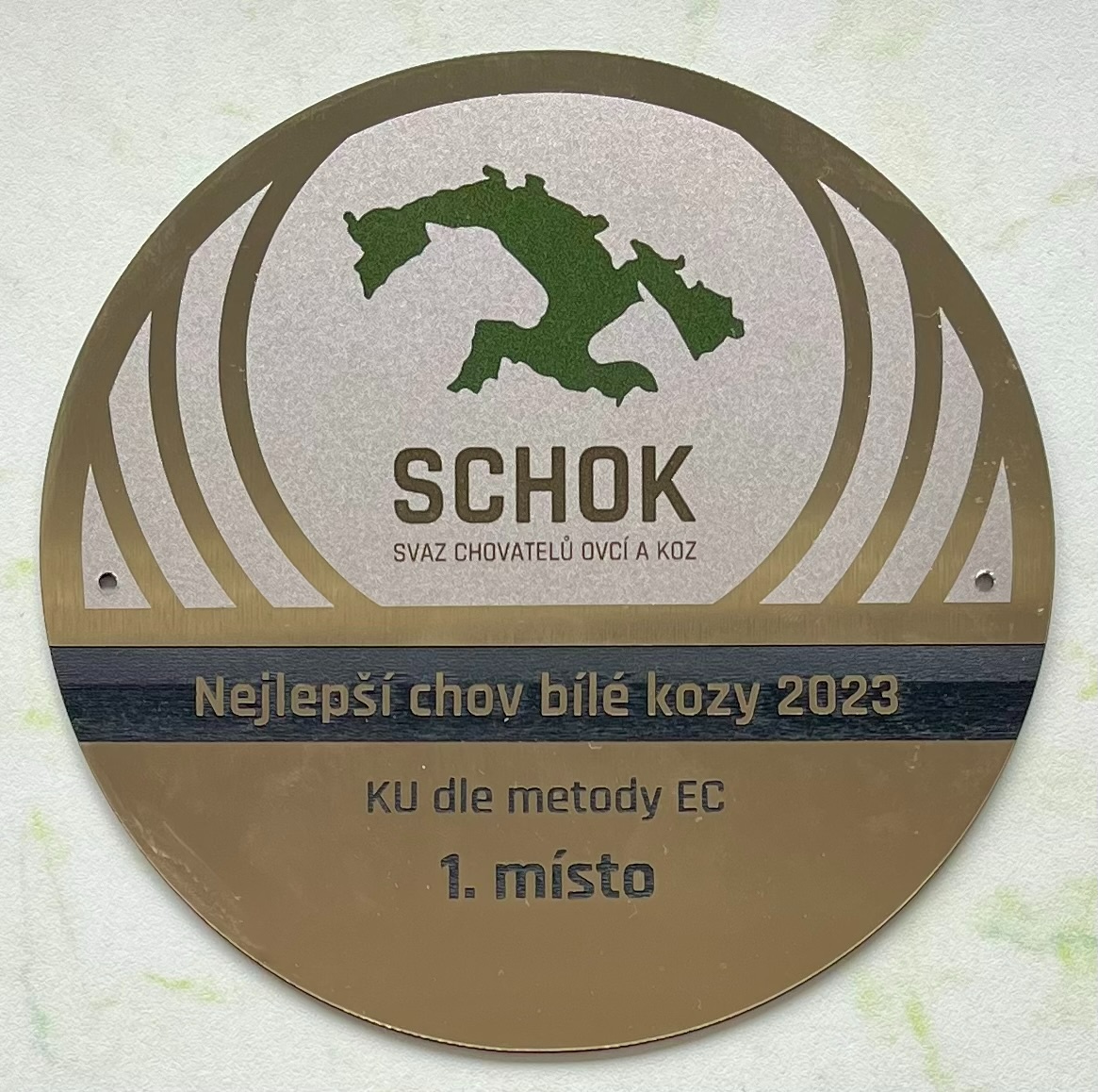 Koza "Česká bílá krátkosrstá". - 7