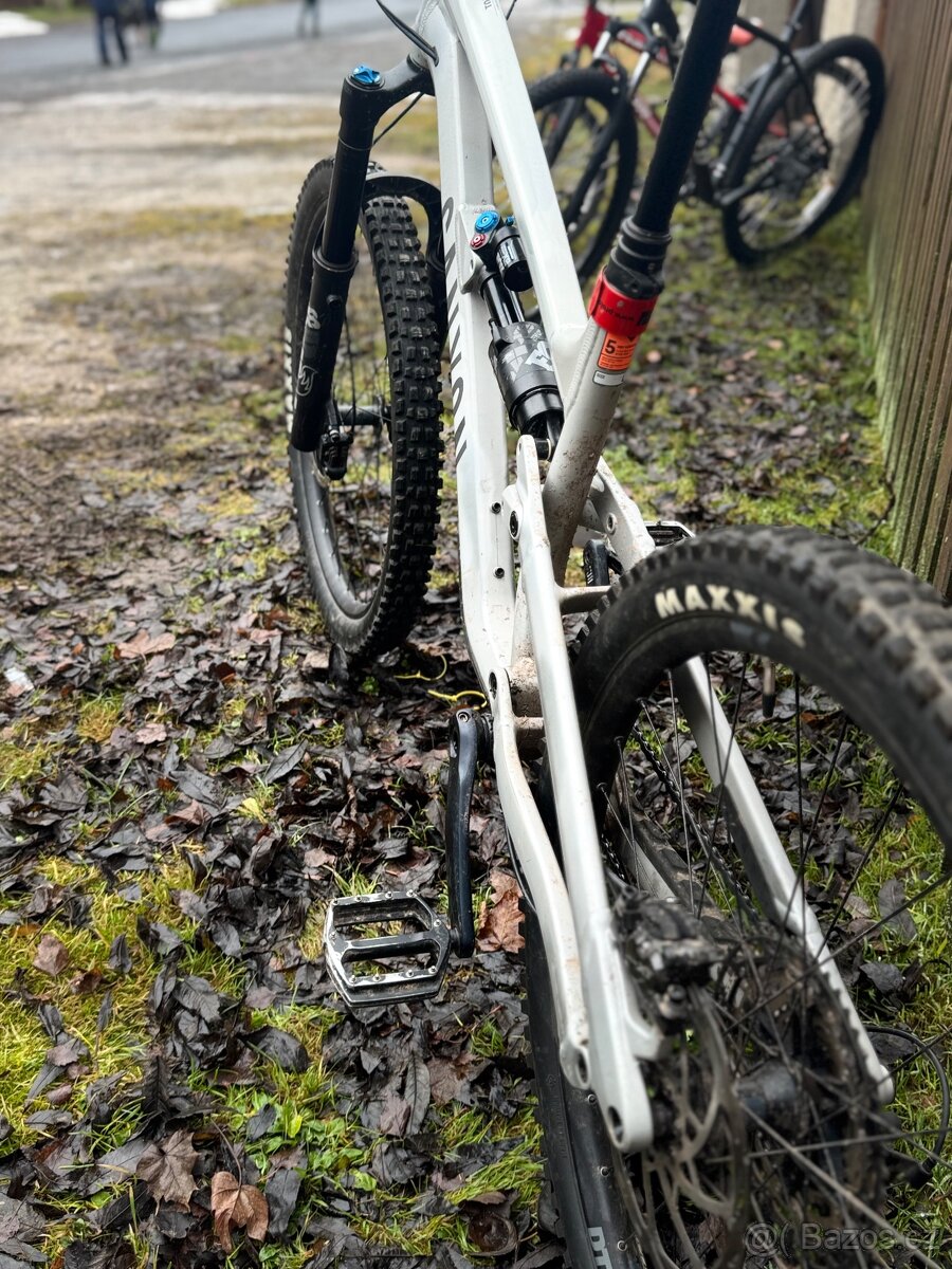 Canyon torque 5 2022 vel. L - 7