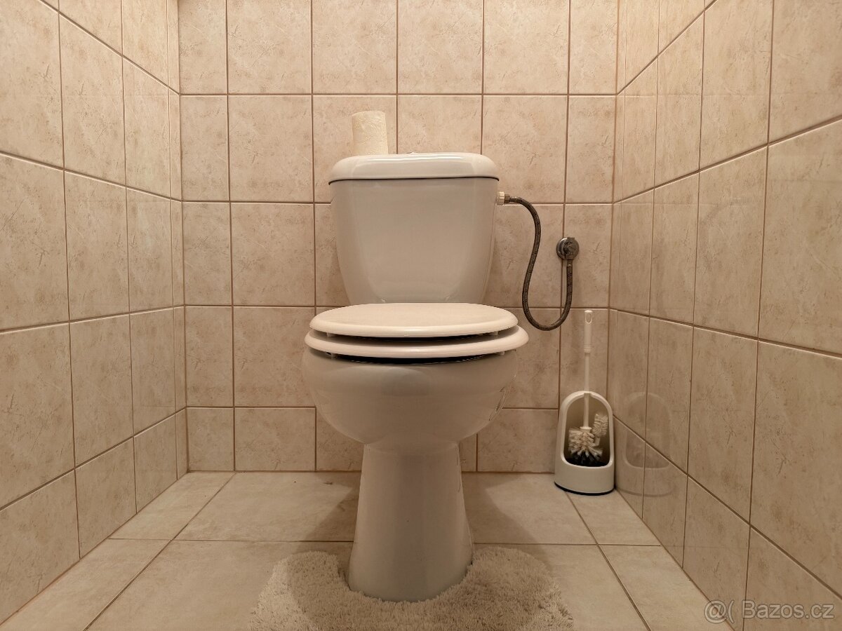 Pronájem bytu 2+1, 64 m², obec Kokory. - 7